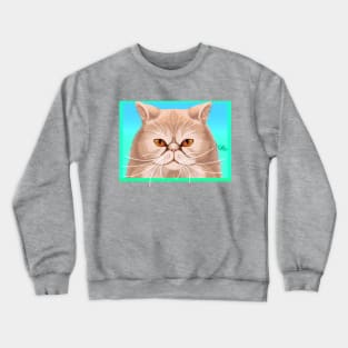 Persian kitty face Crewneck Sweatshirt